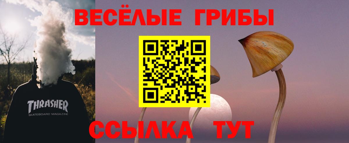 даркнет сайт  Вход с VPN  Скопин  Псилоцибиновые грибы ЛСД  Псилоцибиновые грибы Cubensis 